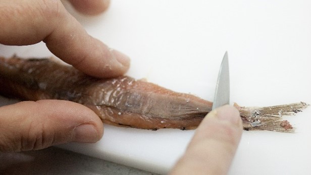 taglio pesce azzurro